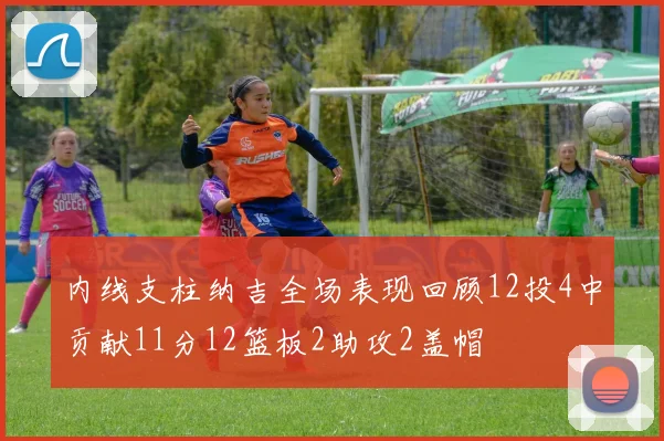 内线支柱纳吉全场表现回顾12投4中贡献11分12篮板2助攻2盖帽