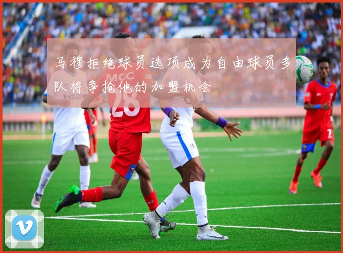 马穆拒绝球员选项成为自由球员多队将争抢他的加盟机会