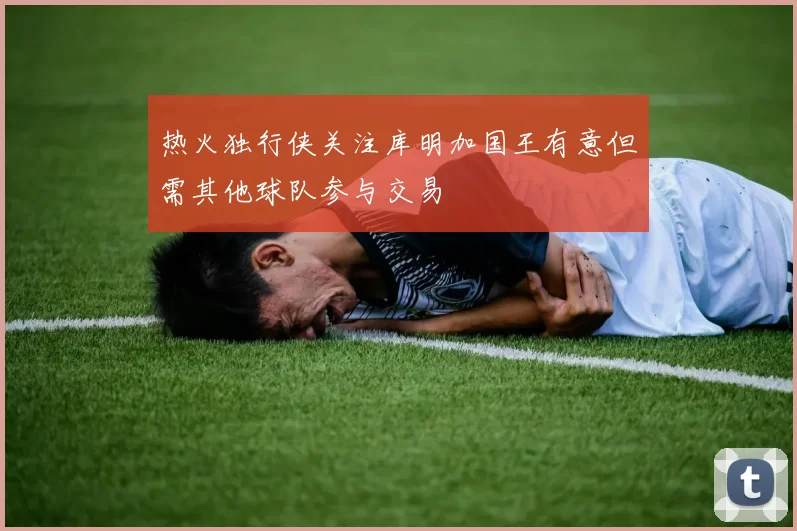 热火独行侠关注库明加国王有意但需其他球队参与交易