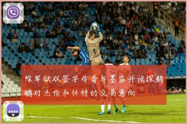 绿军欲双签字母哥与墨菲并试探鹈鹕对杰伦和怀特的交易意向